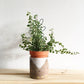 Plant Support Metal Leaf Shaped Plant Climbing Trellis 32x13 cm 2 Pack for Potted Plants