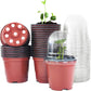 25 Pack Seedling Pots with Lids 9x14cm Reusable Mini Greenhouse Grow Trays for Propagation