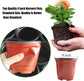 25 Pack Seedling Pots with Lids 9x14cm Reusable Mini Greenhouse Grow Trays for Propagation