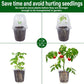 36 Set Nursery Pots with Humidity Dome, Clear Nursery Pots for Plants, Seed Starting Pots with Drainage Holes & Plant Labels for Vegetables Flowers Garden Plants