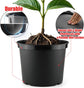 5 Gallon 12 Inch Plastic Nursery Pots, Plant Containers with Drainage Holes, Round Sturdy Garden Planters for Indoor/Outdoor Greenery, Gardening Gifts for Women (5-Pack, Black)