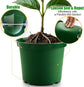 3 Gallon Plastic Nursery Pots, 10 Inch Round Plant Pots with Drainage Holes, 10 Pack Planting Pot for Outdoor Indoor Plants, Gardening Gifts for Women, Green