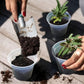 36 Pack 4/5/6/7 Inch Clear Nursery Pots for Plants, Plant Pots with Drainage Holes, Transparent Seedling Pots for Seed Starters Planter Flower