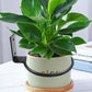 6pcs 6 Inch Wall Flower Pot Holder Ring, 15cm Black Wall Plant Stand Hanger Holder Hook Bracket for Indoor Outdoor Garden Planter