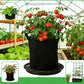6 Pack 12 inch Self Watering Base for Fabric Grow Bag, Self-watering Plastic Elevated Plant Saucer Stand, Automatic Watering Tray for Non-woven Planter Flower Pot Growth Tent Greenhouse Indoor Outdoor