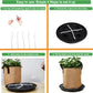 6 Pack 12 inch Self Watering Base for Fabric Grow Bag, Self-watering Plastic Elevated Plant Saucer Stand, Automatic Watering Tray for Non-woven Planter Flower Pot Growth Tent Greenhouse Indoor Outdoor