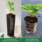 50 Pcs 12" Tall Tree Pots Plastic Deep Nursery Pots Tall Nursery Tree Pots Plant Deep Seedling Pots, Flower Plant Container Pots with 3 Pcs Garden Tools for Indoor Outdoor Use