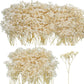 50Pcs Mini Dried Baby&