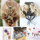 50Pcs Mini Dried Baby&