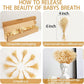 50Pcs Mini Dried Baby&