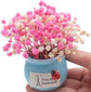 50Pcs Mini Dried Baby&