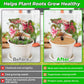 4pcs Coconut Fiber Mulch Ring Tree Plant Protector Mat, 14 Inch Natural Coco Coir Tree Mulch Ring Plant Pot Soil Cover, Tree Rings Disc Plant Cover for Indoor Outdoor Plants, Landscaping