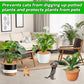 4pcs Coconut Fiber Mulch Ring Tree Plant Protector Mat, 14 Inch Natural Coco Coir Tree Mulch Ring Plant Pot Soil Cover, Tree Rings Disc Plant Cover for Indoor Outdoor Plants, Landscaping