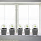10PCS Clear Plant Nursery Pots with Humidity Dome - 3" Plastic Gardening Pot with Labels, Durable Plastic Plant Container for Seedlings/Vegetables/Succulents/Cuttings
