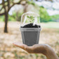 10PCS Clear Plant Nursery Pots with Humidity Dome - 3" Plastic Gardening Pot with Labels, Durable Plastic Plant Container for Seedlings/Vegetables/Succulents/Cuttings