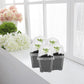 10PCS Clear Plant Nursery Pots with Humidity Dome - 3" Plastic Gardening Pot with Labels, Durable Plastic Plant Container for Seedlings/Vegetables/Succulents/Cuttings