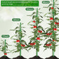 20Pcs Plant Support Stakes 17 inch  Garden Orchid Sticks Extended to 3ft 4ft 5ft Plant Poles with Clips for Indoor Outdoor Potted Tomato Rose Amaryllis Vegetables Comes with 20 Ties