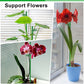 20Pcs Plant Support Stakes 17 inch  Garden Orchid Sticks Extended to 3ft 4ft 5ft Plant Poles with Clips for Indoor Outdoor Potted Tomato Rose Amaryllis Vegetables Comes with 20 Ties