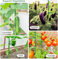 20Pcs Plant Support Stakes 17 inch  Garden Orchid Sticks Extended to 3ft 4ft 5ft Plant Poles with Clips for Indoor Outdoor Potted Tomato Rose Amaryllis Vegetables Comes with 20 Ties