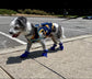 Petluno Antislip, dog boots, paw protection, these comfortable dog boots with soft soles are equipped with reflective straps (6, blue) Blue 6