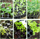120 cell seedling starter tablets reusable, mini propagator, greenhouse growing kit, plant growing trays for indoor greenhouse plastic germination trays nurseries, growing