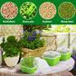 Petluno 4 pieces seedling pots with lids, 16 cm seedling pot BPA-free healthy hydroponic growing pot soil-free sprouting container for growing mung beans, alfalfa, wheatgrass