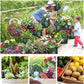 3 Pack 10 Gallon Grow Bags, Breathable Nonwoven Fabric Pots, Potatoe Grow Bag with Handles,Heavy Duty Thickened Vegetable/Flower/Plant Grow Bags(3 Color)