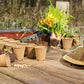 100PCS 8CM Seed Starter Pots, Seed Starter Kit, Transplant Seedlings Pots, Organic Biodegradable Pots for Plant Starters, Seedlings, Saplings, Flowers, Vegetables, with Bonus 100 Plastic Plant Markers