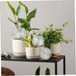 3PCS Plant Watering Globes, 500ml Self Watering Planter Insert, Transparent Plant Irrigation Devices for Indoor Potted Plants
