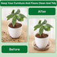 16Pcs Plant Saucer, Heavy Duty Clear Plastic Plant Tray, Durable Round Flower Pot Saucer, Large Plant Dishes Saucer, Planter Water Drip Trays for Indoor Outdoor Garden Potted