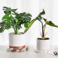 16Pcs Plant Saucer, Heavy Duty Clear Plastic Plant Tray, Durable Round Flower Pot Saucer, Large Plant Dishes Saucer, Planter Water Drip Trays for Indoor Outdoor Garden Potted