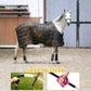 Horse Blanket Leg Straps, Elastic Belly Replacement Straps with Metal Double Swivel Snaps, 4 Pieces, Adjustable Length from 25.5" to 51"