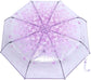 Clear Girls Umbrella