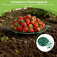 10PCS Strawberry Plant Support, Watermelon Support Stand Melon Holder Tray Protection Rack Cradle Pumpkin for Squash Cantaloupe