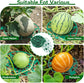 10PCS Strawberry Plant Support, Watermelon Support Stand Melon Holder Tray Protection Rack Cradle Pumpkin for Squash Cantaloupe