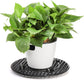 15 PCS Plant Level Pot Elevator, 12 inch Plastic Potted Stands, Large Patio Planter Riser Holder, Deck Floor Protector to Prevent Rot Damage, Trivet for Indoor Outdoor Garden