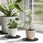 15 PCS Plant Level Pot Elevator, 12 inch Plastic Potted Stands, Large Patio Planter Riser Holder, Deck Floor Protector to Prevent Rot Damage, Trivet for Indoor Outdoor Garden