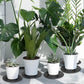 15 PCS Plant Level Pot Elevator, 12 inch Plastic Potted Stands, Large Patio Planter Riser Holder, Deck Floor Protector to Prevent Rot Damage, Trivet for Indoor Outdoor Garden