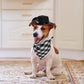 4 Pack Pet Cowboy Costume Accessories Set, 2 Pcs Hat and Bandana Scarf, Puppy Kitten Halloween Christmas Costume, West Party Cosplay Wearing for Cats Small Dogs