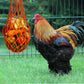 Feed bag - Feed net bag - Chicken, duck and goose feed net bag - Hanging - With carabiner - Feed tray for fruit and vegetables - 60 cm - 2 colours
