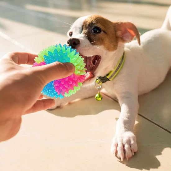 Pet toy ball - 5 cm - Light-up dog ball - Flashing bouncy ball - Interactive light-up - LED pet toy - Suitable for puppies, small and medium dogs and cats