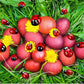 100 Pieces Tiny Resin Ladybugs Decor 0.55&