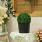 30 Pcs 3 Gallon Plant Nursery Pots Bulk Flexible Plastic Pots for Plants Thickened Soft Seed Starting Container with Drainage Hole Garden Pot Flower Container for Succulents Seedlings