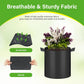 HealSmart 6-Pack 2 Gallon Nonwoven Grow Bags - Aeration Fabric Pots with Handles for Garden Fruits Vegetables Flowers - Black