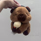 Capybara Hold  Duck Chalk Bag Rock Climbing Chalk Bag