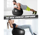 Anti-Burst Exercise Ball, Fitness & Yoga Ball Supports with Quick Pump for Gym, Chair - Diameter 65 cm