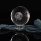 3D Dandelion Crystal Ball PaperweightLaser Engraved Glass Sphere Display Globe Meditation Ball Home Decor with Crystal Stand