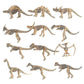 Dinosaur Fossil Skeleton Dinosaur Model Dinosaur Skeleton Toys