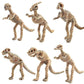 Dinosaur Fossil Skeleton Dinosaur Model Dinosaur Skeleton Toys