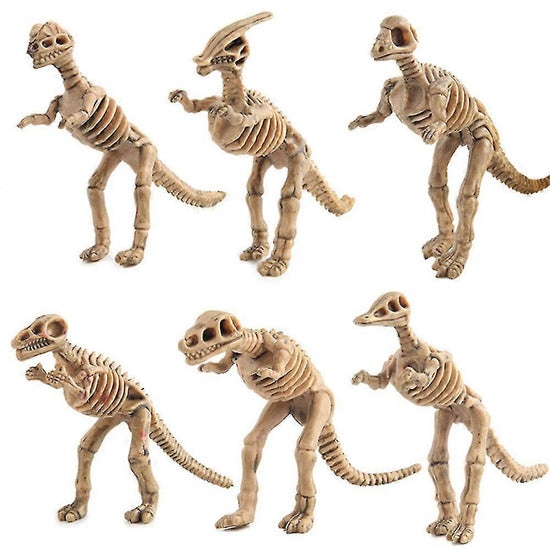 12pcs Dinosaur Fossil Skeleton Dinosaur Model Dinosaur Skeleton Toys